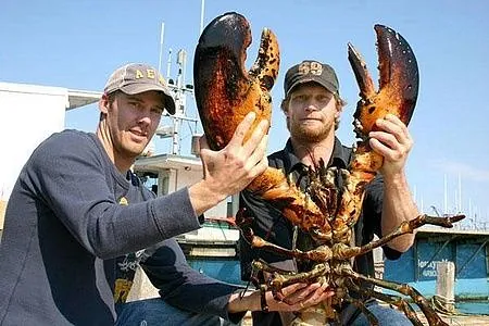 Two fisherman holding a large lobster