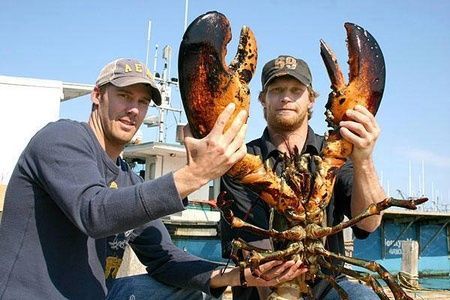 Two fisherman holding a large lobster