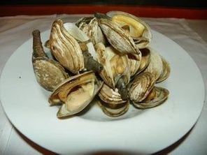 Freshly steamed clams